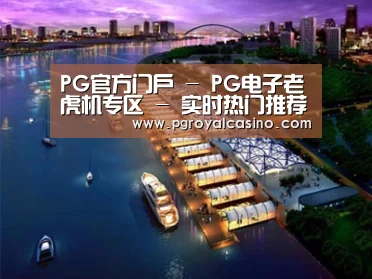案例展示八