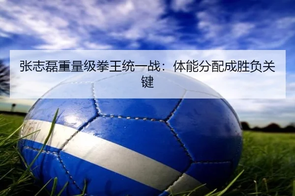 张志磊重量级拳王统一战：体能分配成胜负关键