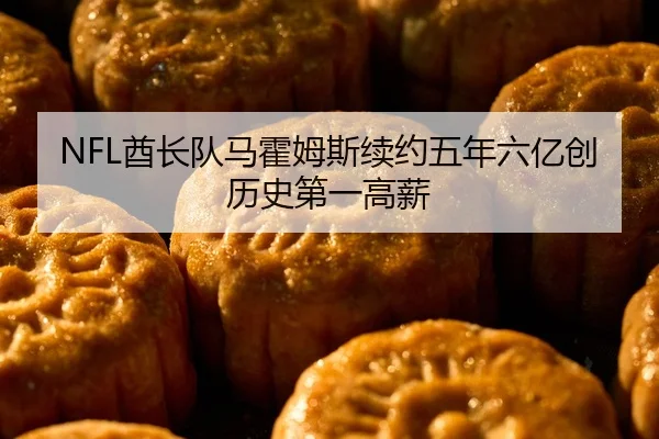 NFL酋长队马霍姆斯续约五年六亿创历史第一高薪