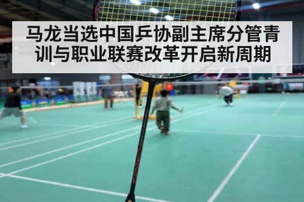 马龙当选中国乒协副主席分管青训与职业联赛改革开启新周期